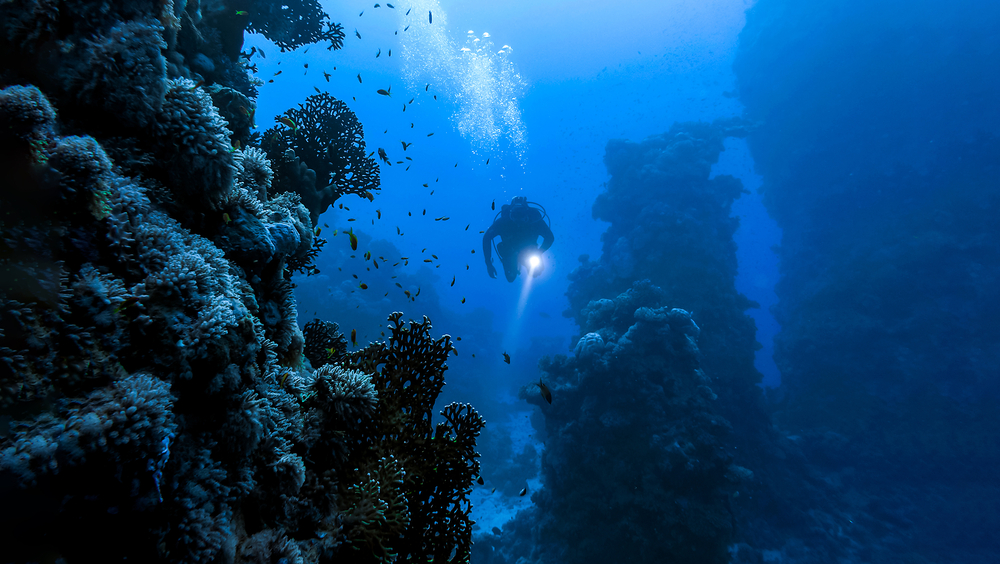 Featured image for “The Commercial Excellence Journey with Iain Boomer”