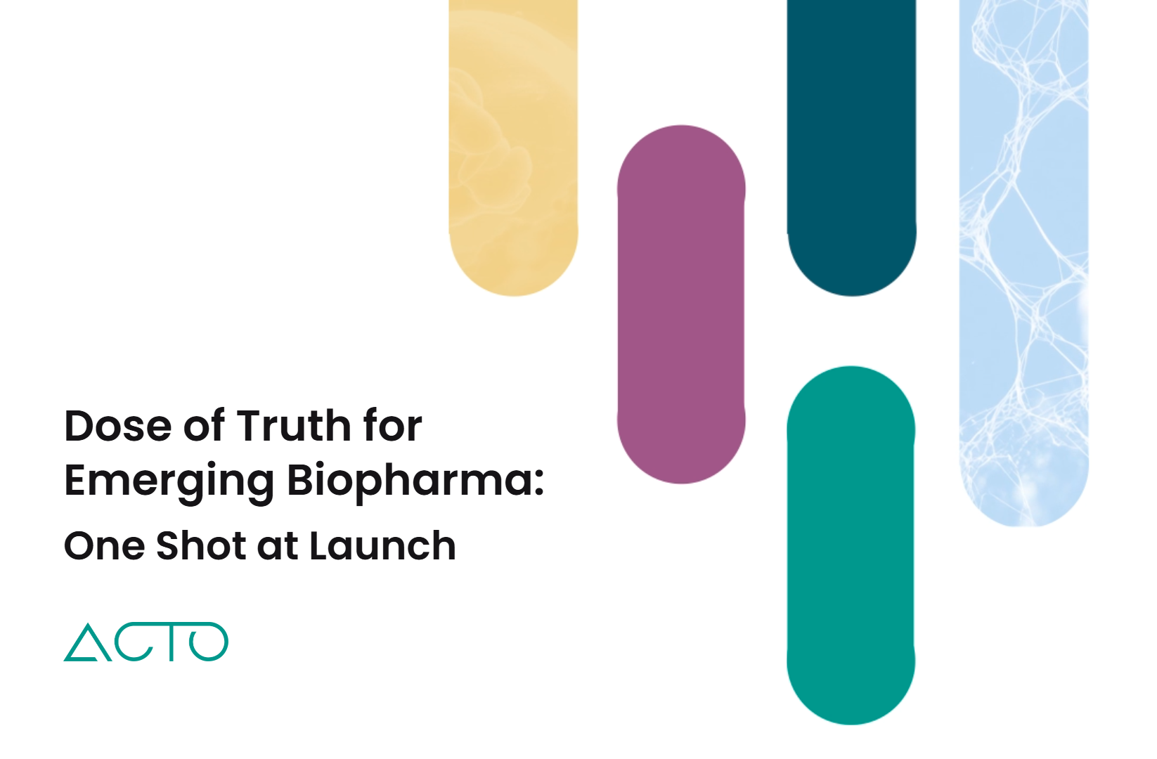 Featured image for “8 Launch Truths Emerging Biopharma Can’t Afford to Ignore”